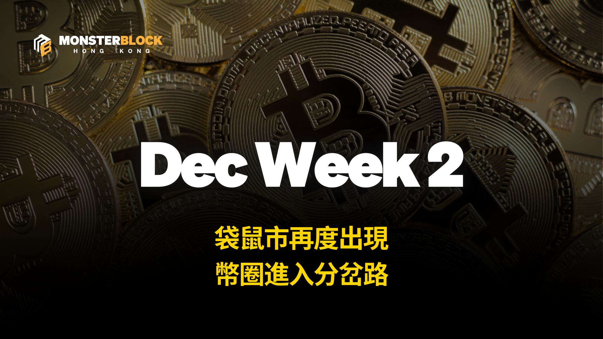 기사 자세히 보기 袋鼠市再度出現，幣圈進入分岔路 – 1216 Alpha Report